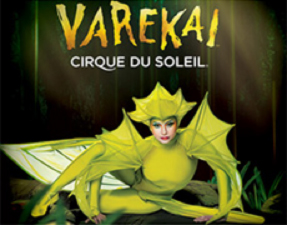 Vareka